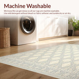 Ultra Soft Area Rug, Non Slip, Stain Resistant, Washable Area Rugs for Living Room, Bedroom, Classic Lattice in Muted Beige and Grey(Beige)