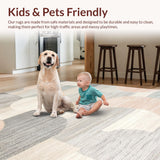 Ultra Soft Area Rug, Non Slip, Stain Resistant, Washable Area Rugs for Living Room, Bedroom, Delicate Earthy Softness Theme(Gray)