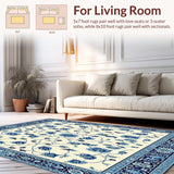 Ultra Soft Area Rug, Non Slip, Stain Resistant, Washable Area Rugs for Living Room, Bedroom, Country Wynona Rectangle Area for Patio in Blue Beige Color(Beige)