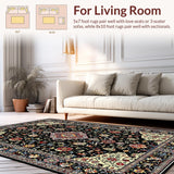 Ultra Soft Area Rug, Non Slip, Stain Resistant, Washable Area Rugs for Living Room, Bedroom, Luxurious Double Plush Aesthetic(Black)