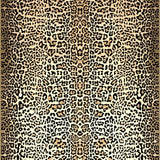 Ultra Soft Area Rug, Non Slip, Stain Resistant, Washable Area Rugs for Living Room, Bedroom, Unique Bold Animal Style(Beige)