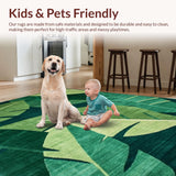 Ultra Soft Area Rug, Non Slip, Stain Resistant, Washable Area Rugs for Living Room, Bedroom, Contemporary Light Green Aesthetic(Green)