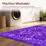 Ultra Soft Area Rug, Non Slip, Stain Resistant, Washable Area Rugs for Living Room, Bedroom, Delightful Soft Textured Furry Touch(Purple)