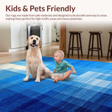 Ultra Soft Area Rug, Non Slip, Stain Resistant, Washable Area Rugs for Living Room, Bedroom, Whimsical Abstract Expressionist Style(Blue)
