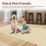 Ultra Soft Area Rug, Non Slip, Stain Resistant, Washable Area Rugs for Living Room, Bedroom, Stylish Cozy Layered Texture(Beige)