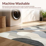 Ultra Soft Area Rug, Non Slip, Stain Resistant, Washable Area Rugs for Living Room, Bedroom, Elegant Abstract Earthy Tones(Gray)