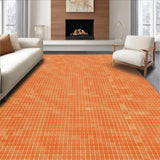 Ultra Soft Area Rug, Non Slip, Stain Resistant, Washable Area Rugs for Living Room, Bedroom, Elegant Minimalist Shag Design(Orange)