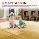 Ultra Soft Area Rug, Non Slip, Stain Resistant, Washable Area Rugs for Living Room, Bedroom, Elegant Champagne Gold Area with Minimalist Solid Hue and Non Slip Backing(Beige)