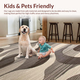 Ultra Soft Area Rug, Non Slip, Stain Resistant, Washable Area Rugs for Living Room, Bedroom, Contemporary Abstract Swirl Motif(Gray)