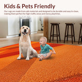 Ultra Soft Area Rug, Non Slip, Stain Resistant, Washable Area Rugs for Living Room, Bedroom, Modern Burnt Orange Living Room Non-Slip Rug(Orange)
