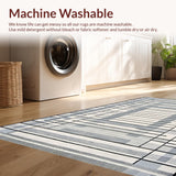 Ultra Soft Area Rug, Non Slip, Stain Resistant, Washable Area Rugs for Living Room, Bedroom, Elegant Subtle Diamond Configuration(Gray)