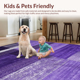 Ultra Soft Area Rug, Non Slip, Stain Resistant, Washable Area Rugs for Living Room, Bedroom, Cozy Plush Textured Accent Piece(Purple)