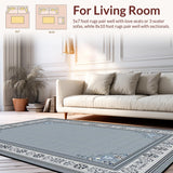 Ultra Soft Area Rug, Non Slip, Stain Resistant, Washable Area Rugs for Living Room, Bedroom, Sophisticated Abstract Grey Composition(Gray)