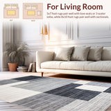 Ultra Soft Area Rug, Non Slip, Stain Resistant, Washable Area Rugs for Living Room, Bedroom, Sleek Monochrome Abstract Artistry(Gray)