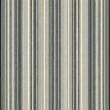 Ultra Soft Area Rug, Non Slip, Stain Resistant, Washable Area Rugs for Living Room, Bedroom, Elegant Black and Ivory Contrast(Beige)