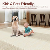 Ultra Soft Area Rug, Non Slip, Stain Resistant, Washable Area Rugs for Living Room, Bedroom, Elegant Reversible Natural Weave(Beige)