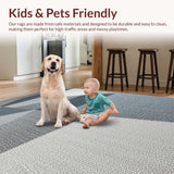 Ultra Soft Area Rug, Non Slip, Stain Resistant, Washable Area Rugs for Living Room, Bedroom, Modern Grey Non-Slip Bedroom Area Rug with Abstract Lines(Gray)