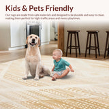 Ultra Soft Area Rug, Non Slip, Stain Resistant, Washable Area Rugs for Living Room, Bedroom, Boho Chic Area with Distressed Abstract Geometric(Beige)