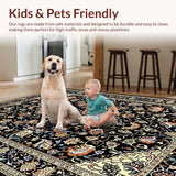 Ultra Soft Area Rug, Non Slip, Stain Resistant, Washable Area Rugs for Living Room, Bedroom, Sophisticated Floral Paisley Aesthetic(Black)
