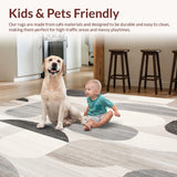 Ultra Soft Area Rug, Non Slip, Stain Resistant, Washable Area Rugs for Living Room, Bedroom, Geometric Abstract Boho Style(Gray)