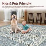 Ultra Soft Area Rug, Non Slip, Stain Resistant, Washable Area Rugs for Living Room, Bedroom, Stylish Boho Diamond Weave(Gray)