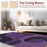 Ultra Soft Area Rug, Non Slip, Stain Resistant, Washable Area Rugs for Living Room, Bedroom, Vibrant Rich Tone with Shag Appeal(Purple)