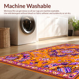 Ultra Soft Area Rug, Non Slip, Stain Resistant, Washable Area Rugs for Living Room, Bedroom, Whimsical Soft Tones Collection(Orange)