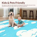 Ultra Soft Area Rug, Non Slip, Stain Resistant, Washable Area Rugs for Living Room, Bedroom, Vibrant Sky Blue Aesthetic(Blue)