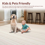 Ultra Soft Area Rug, Non Slip, Stain Resistant, Washable Area Rugs for Living Room, Bedroom, Neutral Tone Area Minimalist Style(Beige)