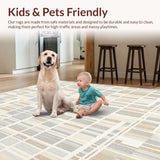 Ultra Soft Area Rug, Non Slip, Stain Resistant, Washable Area Rugs for Living Room, Bedroom, Malilinao Abstract Geometric Area Cream Beige Gray(Beige)