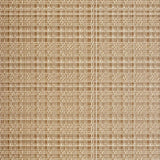 Elegant Trellis Patterned Aesthetic(Beige)