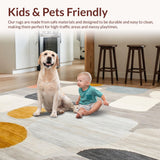 Ultra Soft Area Rug, Non Slip, Stain Resistant, Washable Area Rugs for Living Room, Bedroom, Unique Beige Area Abstract Art Versatile Indoor(Gray)
