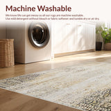 Ultra Soft Area Rug, Non Slip, Stain Resistant, Washable Area Rugs for Living Room, Bedroom, Stylish Area with Distressed Vintage Beige(Beige)