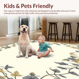 Ultra Soft Area Rug, Non Slip, Stain Resistant, Washable Area Rugs for Living Room, Bedroom, Boho Accent Non Slip(Beige)