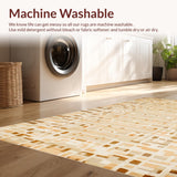 Ultra Soft Area Rug, Non Slip, Stain Resistant, Washable Area Rugs for Living Room, Bedroom, Rustic Neutral Textured Aesthetic(Beige)