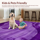 Ultra Soft Area Rug, Non Slip, Stain Resistant, Washable Area Rugs for Living Room, Bedroom, Trendy Fuzzy Ombre Style(Purple)
