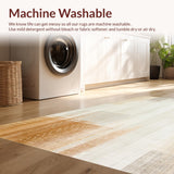 Ultra Soft Area Rug, Non Slip, Stain Resistant, Washable Area Rugs for Living Room, Bedroom, Neutral Boho with Faded Mottled Texture and Creamy Beige Highlights(Beige)
