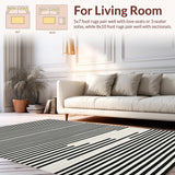Ultra Soft Area Rug, Non Slip, Stain Resistant, Washable Area Rugs for Living Room, Bedroom, Chic Entryway Rug Featuring Graphic Stripe Motif, Minimalist Linear Art Style(Black)