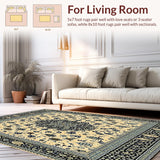 Ultra Soft Area Rug, Non Slip, Stain Resistant, Washable Area Rugs for Living Room, Bedroom, Elegant Abstract Beige/Black Deco(Beige)