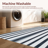 Elegant Striped Picnic Experience(Blue)