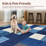 Ultra Soft Area Rug, Non Slip, Stain Resistant, Washable Area Rugs for Living Room, Bedroom, Dynamic Colorful Geometric Arrangement(Blue)