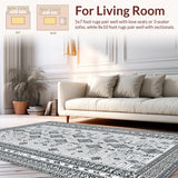 Ultra Soft Area Rug, Non Slip, Stain Resistant, Washable Area Rugs for Living Room, Bedroom, Chic Soft Patterned Surface(Gray)