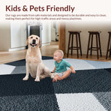 Ultra Soft Area Rug, Non Slip, Stain Resistant, Washable Area Rugs for Living Room, Bedroom, Contemporary Area Rug with Easy Care for Family Spaces(Black)