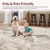 Ultra Soft Area Rug, Non Slip, Stain Resistant, Washable Area Rugs for Living Room, Bedroom, Boho Chic Area Non Slip Distressed Look Beige(Gray)