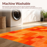 Ultra Soft Area Rug, Non Slip, Stain Resistant, Washable Area Rugs for Living Room, Bedroom, Burnt Orange Shag Rug for Cozy Teen Bedroom(Orange)
