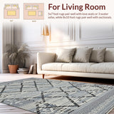 Ultra Soft Area Rug, Non Slip, Stain Resistant, Washable Area Rugs for Living Room, Bedroom, Sleek Monochrome Lattice Design(Gray)