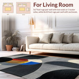 Ultra Soft Area Rug, Non Slip, Stain Resistant, Washable Area Rugs for Living Room, Bedroom, Chic Textured Animal Print Design(Black)
