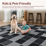 Ultra Soft Area Rug, Non Slip, Stain Resistant, Washable Area Rugs for Living Room, Bedroom, Sophisticated Minimalist Grid Pattern(Black)