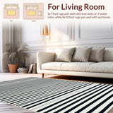 Ultra Soft Area Rug, Non Slip, Stain Resistant, Washable Area Rugs for Living Room, Bedroom, Sleek Linear Contrast Rug Showcasing Sharp Black And White Stripe Motif(Black)
