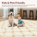 Ultra Soft Area Rug, Non Slip, Stain Resistant, Washable Area Rugs for Living Room, Bedroom, Edge Boho Area Rug with Geometric Diamond Lattice and Neutral Tones(Beige)
